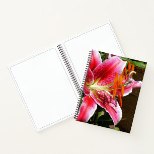 Stargazer Lily Fotograf Notizbuch