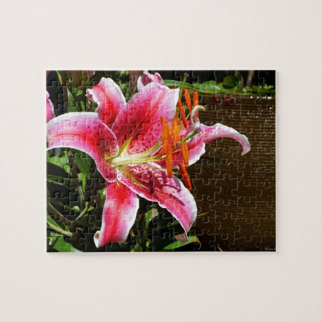 Stargazer Lily Fotograf Puzzle (Horizontal)