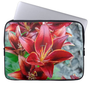 Stargazer Lily, Rote Blumenfotografie Laptopschutzhülle