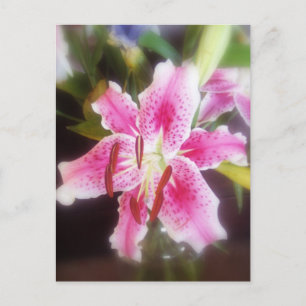 Stargazer-Liste #2 Postkarte