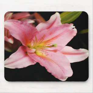 "Stargazer" Mousepads