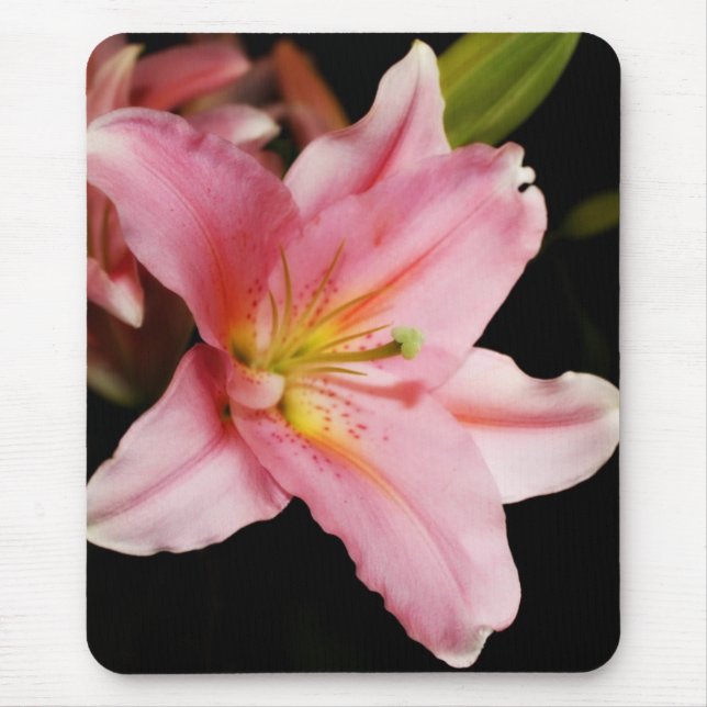 "Stargazer" Mousepads (Vorne)