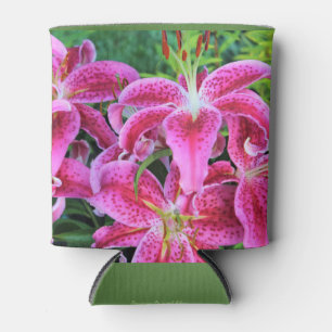 Stargazer-Orientale-Lilien Dosenkühler