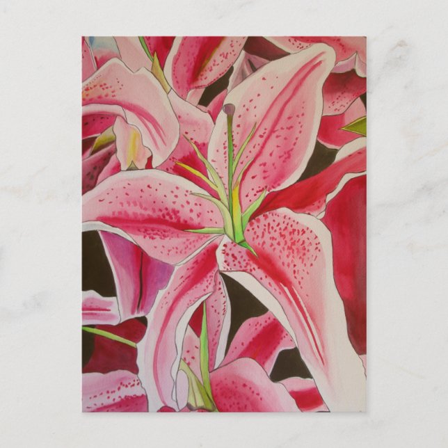 Stargazer Pink Lily Aquarell Blume Postkarte (Vorderseite)