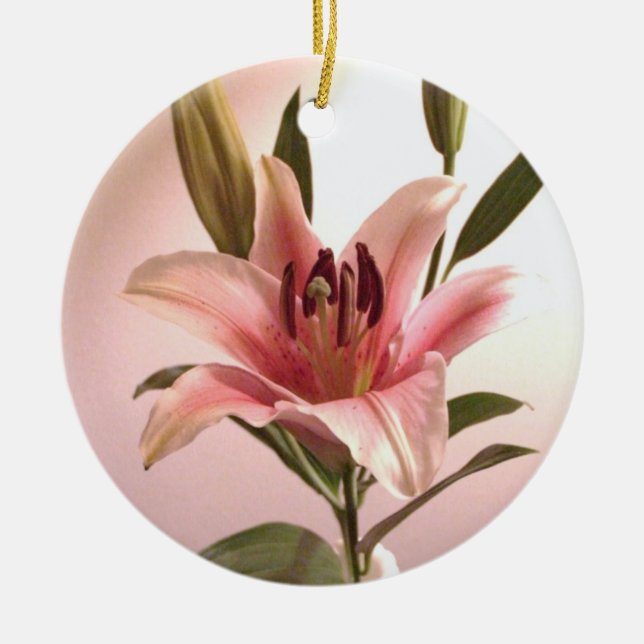 Stargazer-Verzierung Keramik Ornament (Vorne)