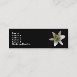 Stargazer-Visitenkarte Mini Visitenkarte