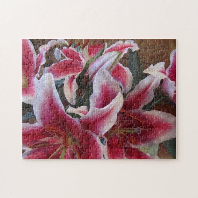 Stargazers-1 Puzzle (Horizontal)