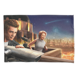 Stargazers 2 kissenbezug