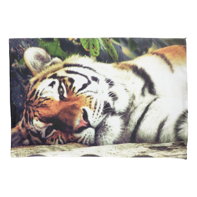 Staring Tiger Kissenbezug (Vorderseite)