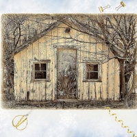 Stark und faszinierend Winterstall
