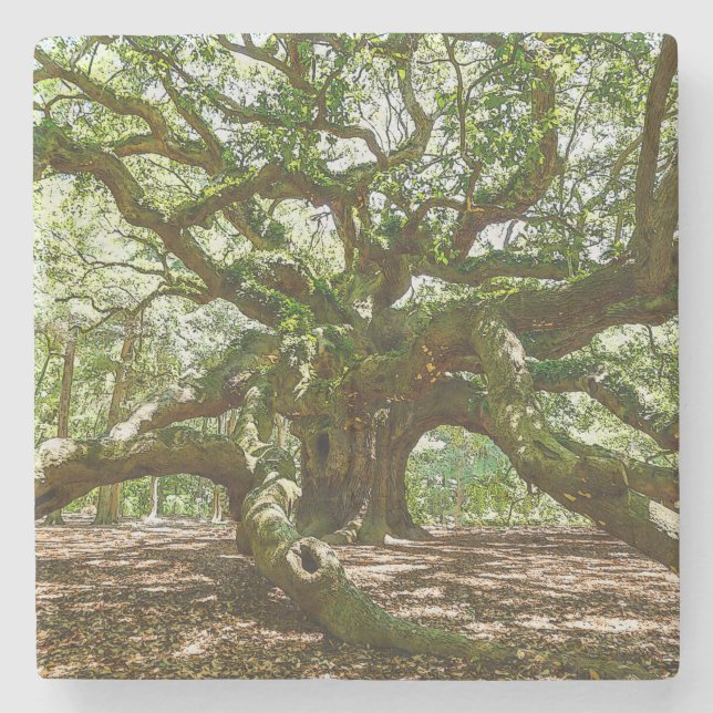 stark und kühl steinuntersetzer (Vorderseite)