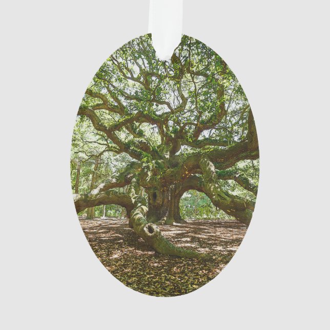 Stark und mutig ornament (Rückseite)