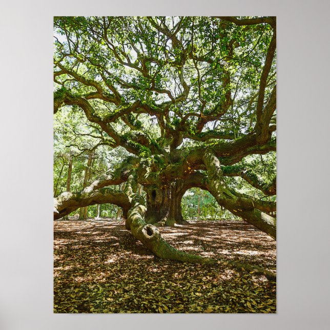 stark und mutig poster (Vorne)