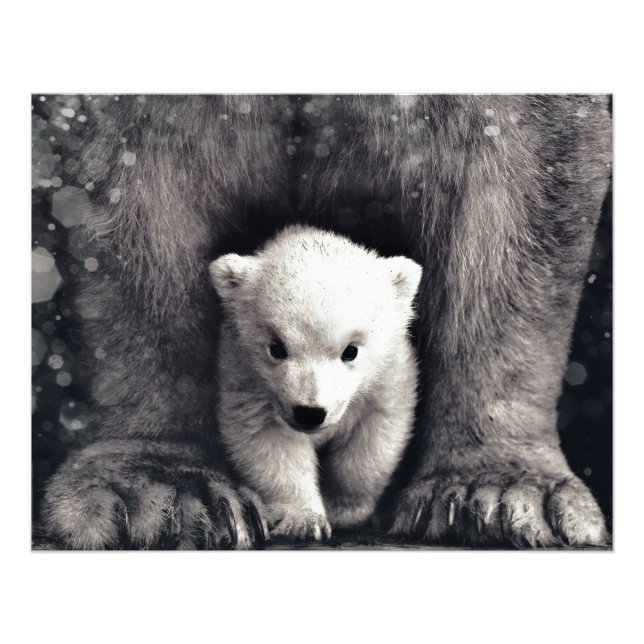 stark wie Mamma Polar Bear Cube Fotodruck (Vorne)