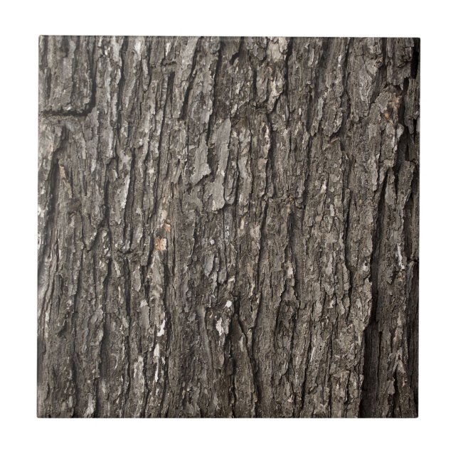 Starke Baumrinde Fliese (Vorderseite)