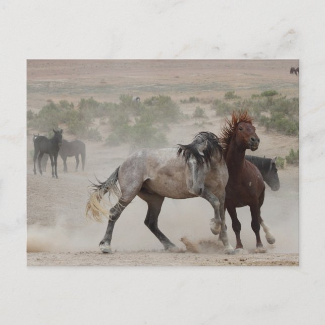 starke Liebe Postkarte (Vorderseite)