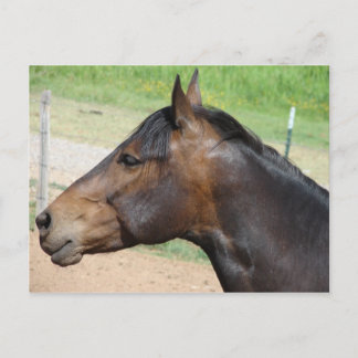 Stärke Postkarte