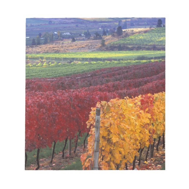 Starke rote und gelbe Herbstfarben auf dem Gehring Notizblock (Vorderseite)