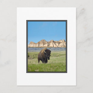 STÄRKER ALS SIE POSTKARTE