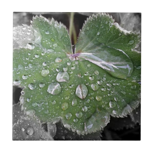 starker Regen Fliese (Vorderseite)