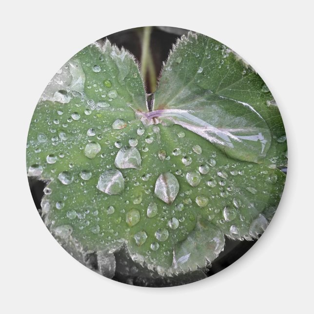 starker Regen Magnet (Vorne)