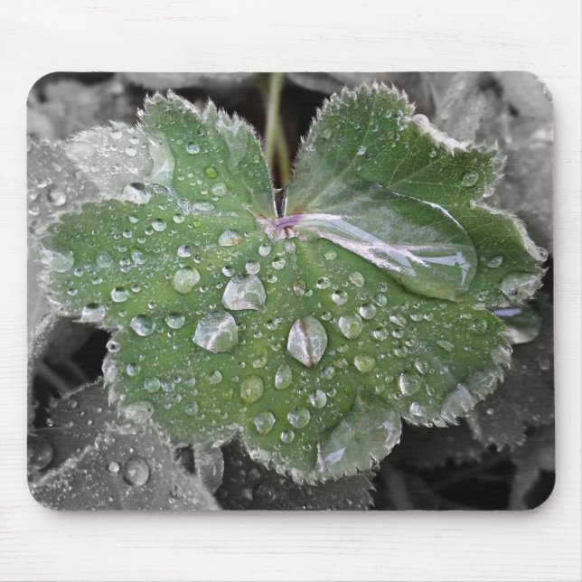 starker Regen Mousepad (Vorne)