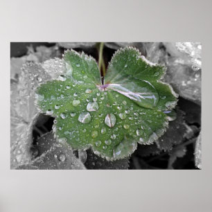 starker Regen Poster