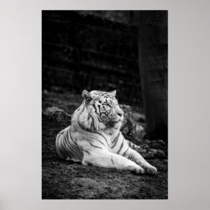 STÄRKERES DENKEN POSTER