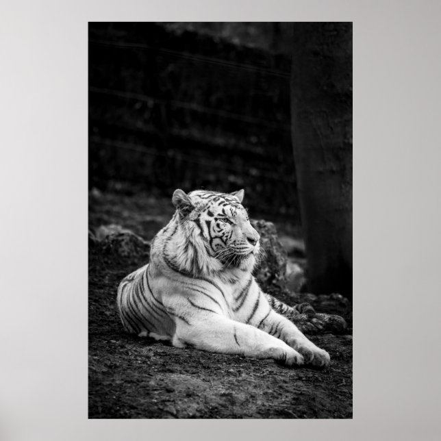 STÄRKERES DENKEN POSTER (Vorne)