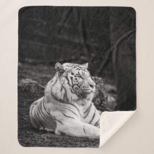 STÄRKERES DENKEN SHERPADECKE