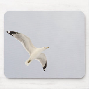 Starkgull Mousepad