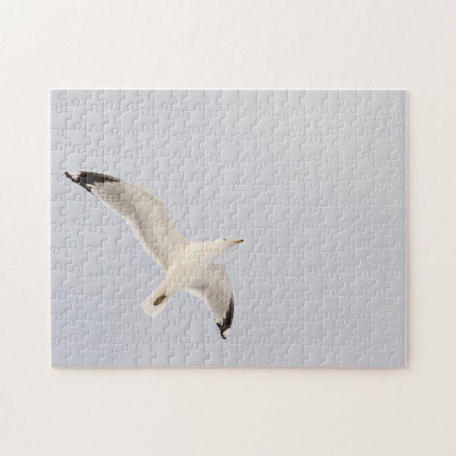 Starkgull Puzzle (Horizontal)