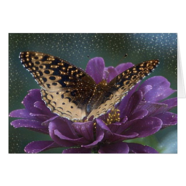 Starlight Butterfly (Vorderseite (Horizontal))