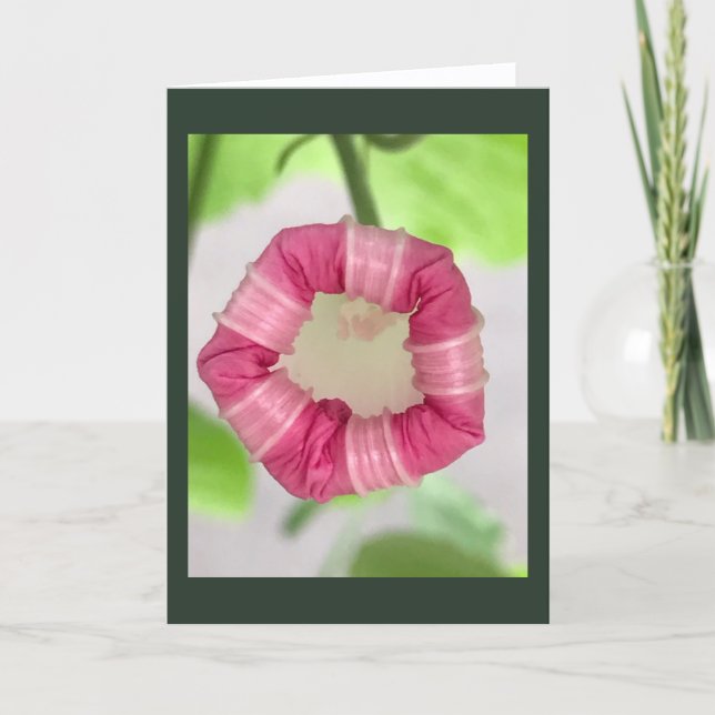 Starlight Mint Morning Glory Blank Karte (Vorderseite)