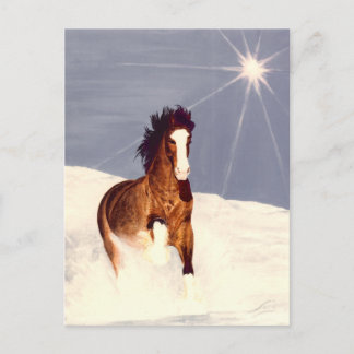 Starlight Run Postkarte