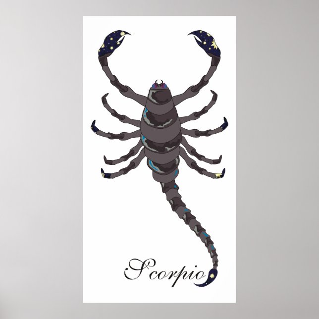 Starlight Scorpio Print Poster (Vorne)