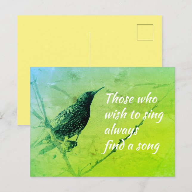Starling auf Baumzweig im Mai Gesang Zitat Postkarte (Vorne/Hinten)
