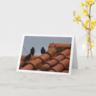 Starling Birds auf der Dachkarte Karte
