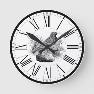 Starling British Bird Illustration Round Clock Runde Wanduhr