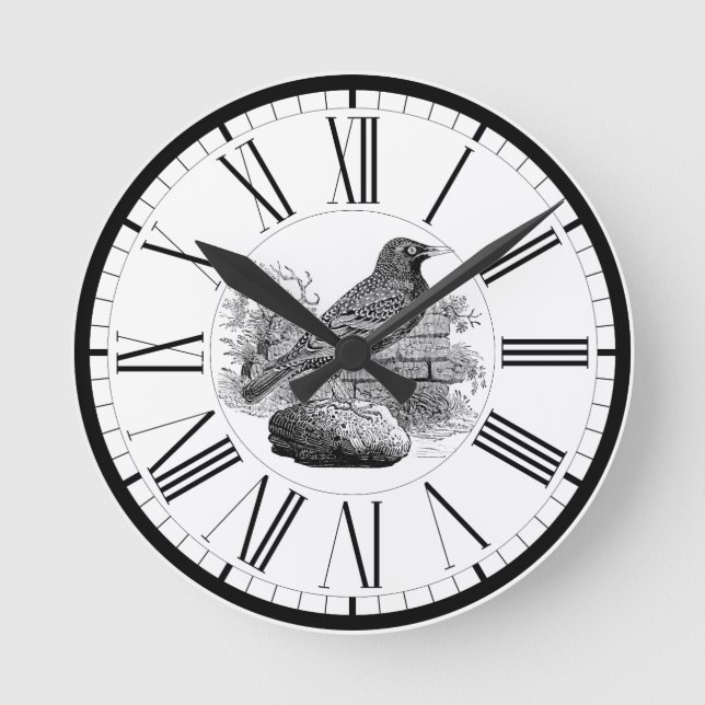 Starling British Bird Illustration Round Clock Runde Wanduhr (Vorderseite)