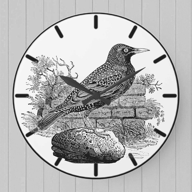 Starling British Bird Large Clock Große Wanduhr (Von Creator hochgeladen)