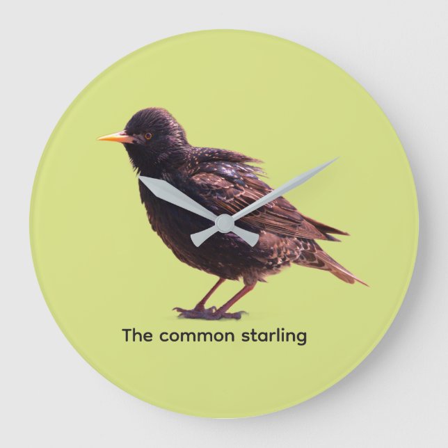 Starling  große wanduhr (Vorderseite)