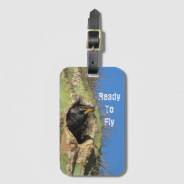 Starling in Saguaro Cactus Foto Southwest Bird Gepäckanhänger