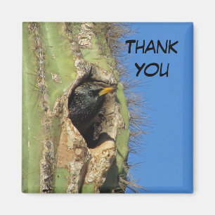 Starling in Saguaro Cactus Foto Southwest Bird Magnet