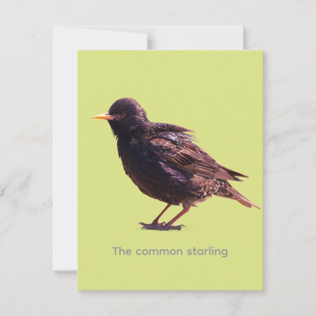 Starling  mitteilungskarte (Vorderseite)