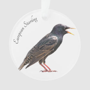 Starling Ornament