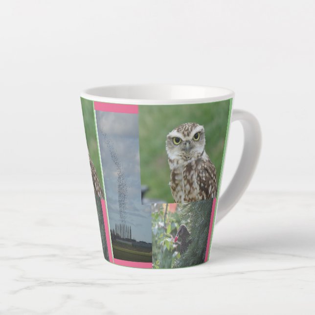 Starling, Owl und Birdswarm Collage Latte Tasse (Rechte Ecke)