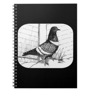 Starling Pigeon 1973 Notizblock