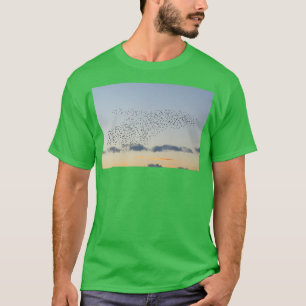 Starling-Wal-Bildung Lang T-Shirt