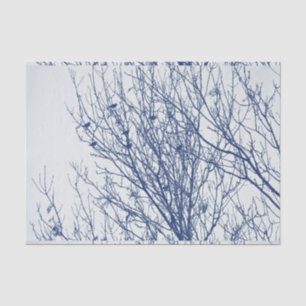Starlings in einem Baum - Cyanotype Effekt Seidenpapier